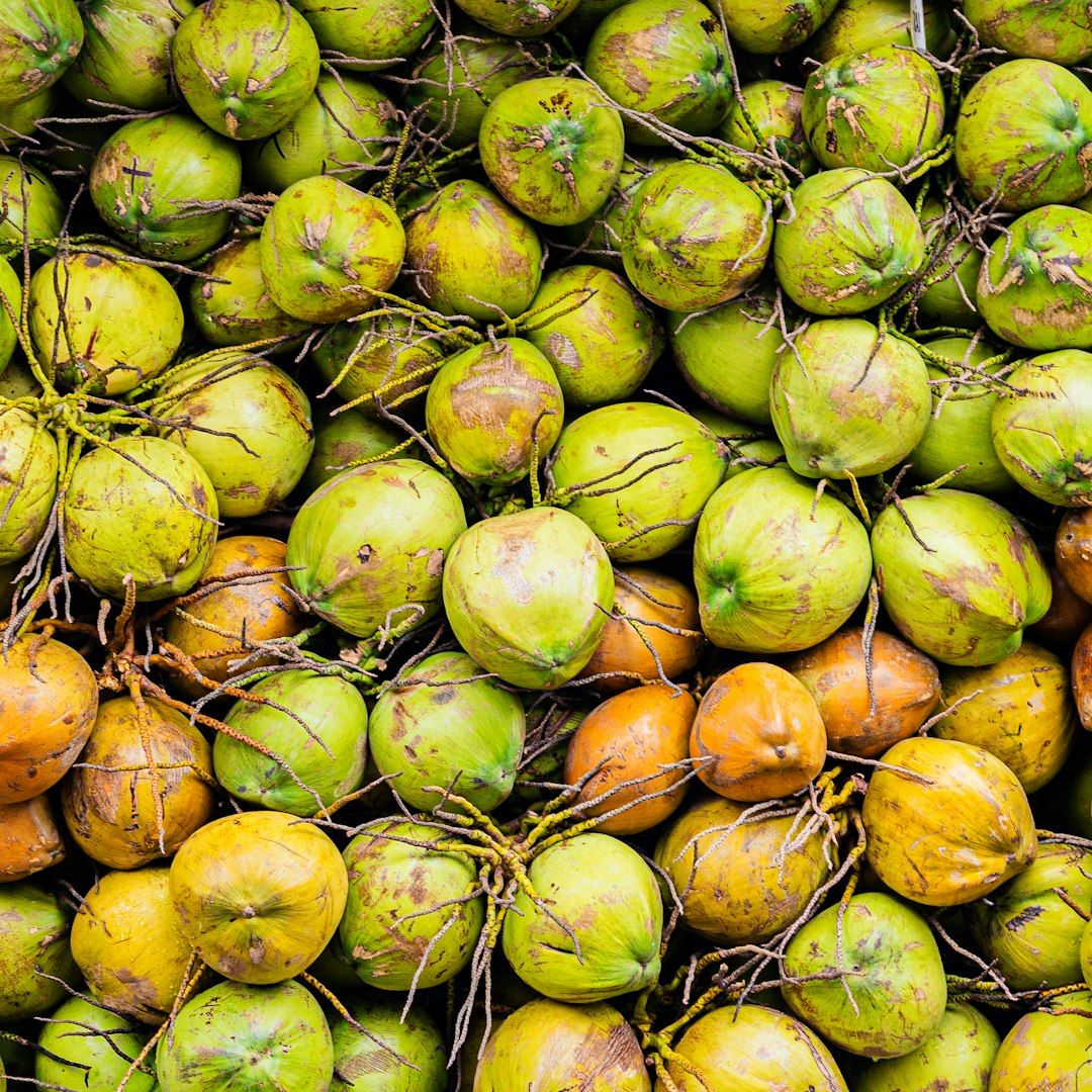 Coco Natural (Verde)